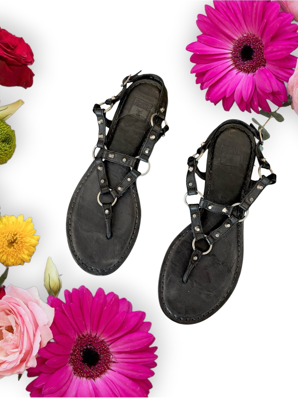 Frye Carson Ring Thong Sandals Black Leather Studded Gladiator T-Strap Sandals